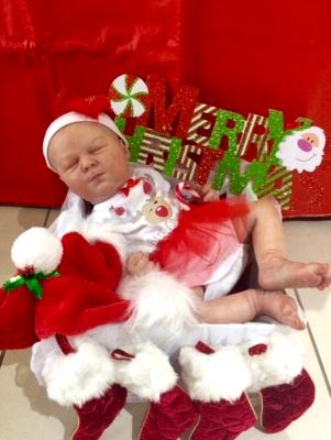 Christmas 2016 Show entry: Kimberly (M.P)
