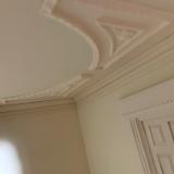 Day1: close up detail of ceiling and cornice 