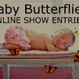  REBORN DOLL SHOW  ~ BABY BUTTERFLIES ~ AUGUST 2015