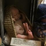 Doll show baby SOLD ~ 2016 Doll show annually every August