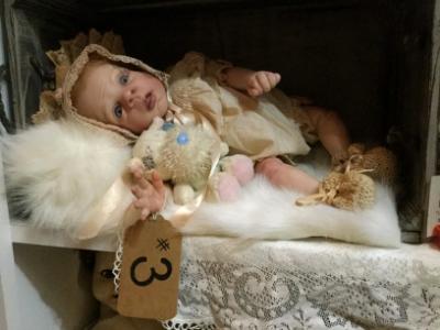 Show entry ~ 2016 Doll show annually every August