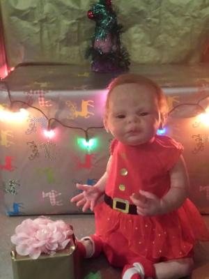 Christmas 2016 Show entry: Willow  (J.Price)